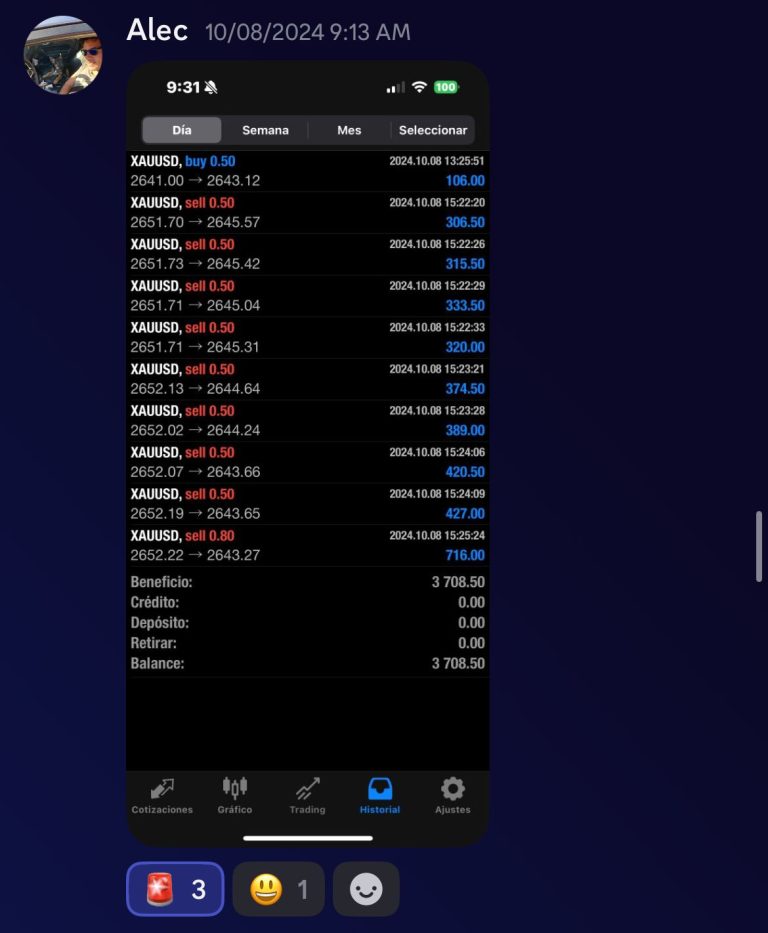 WhatsApp Image 2024-11-28 at 7.24.36 PM (1)