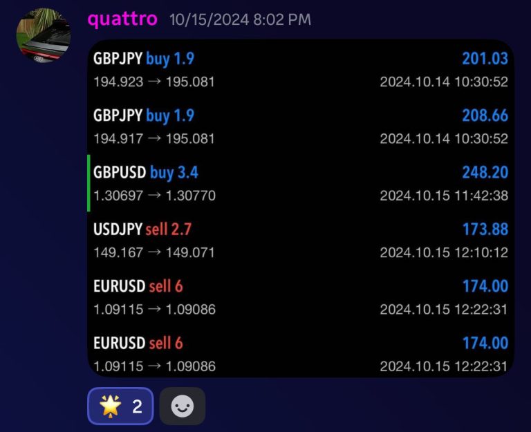 WhatsApp Image 2024-11-28 at 7.24.36 PM (2)