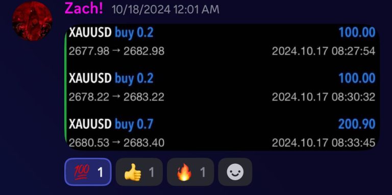 WhatsApp Image 2024-11-28 at 7.24.38 PM